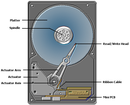05c317426051833bec503d1b97838012.png