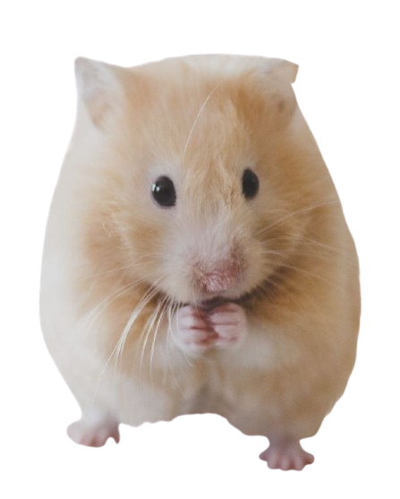Hamster mascot